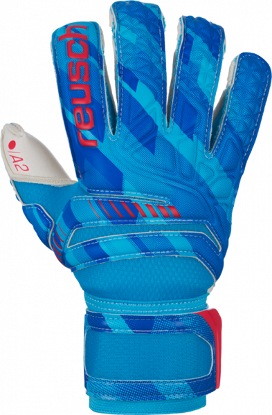 Reusch Fit Control A2 Evolution 3970439 111 blue front